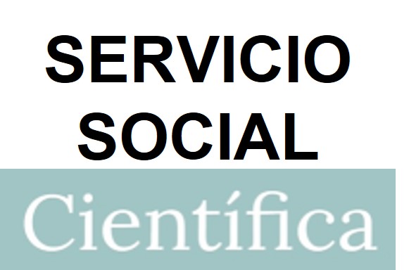 SERVICIO SOCIAL